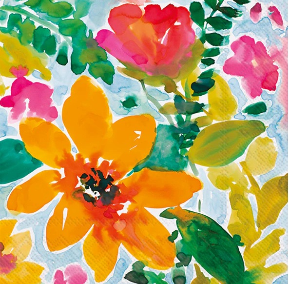 BN BRIGHT AND CHEERY