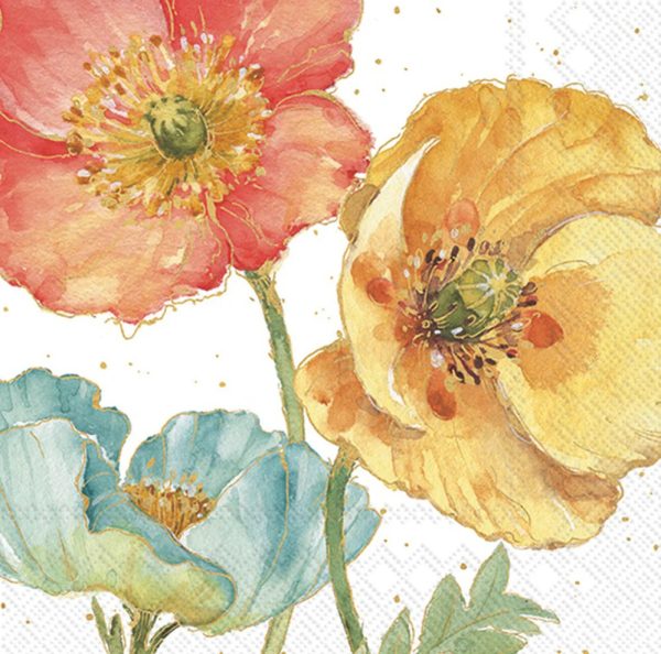 LN SPRING SOFTIES CREAM