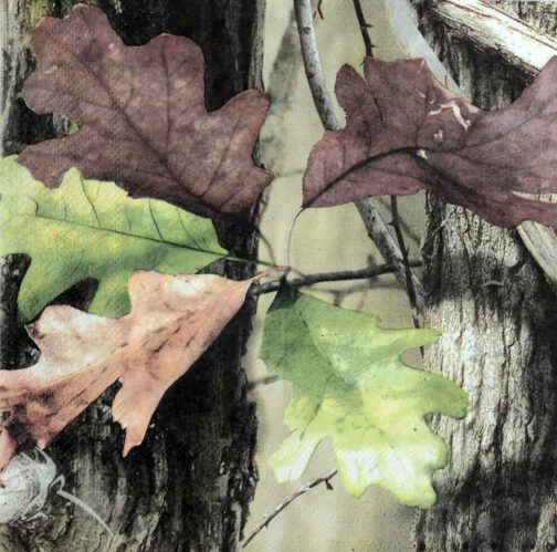 Lunch Napkin NEXT Camo-16 Count Package.