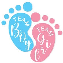 Gender Reveal